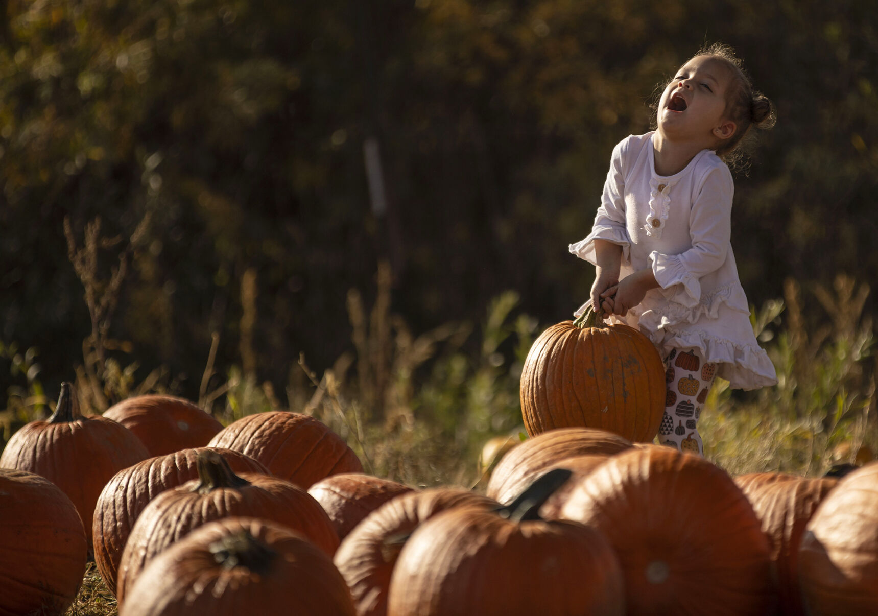 101320-news-pumpkins 01.jpg